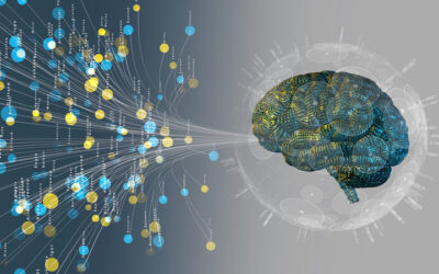 Understanding Large Learning Models vs Large Language Models