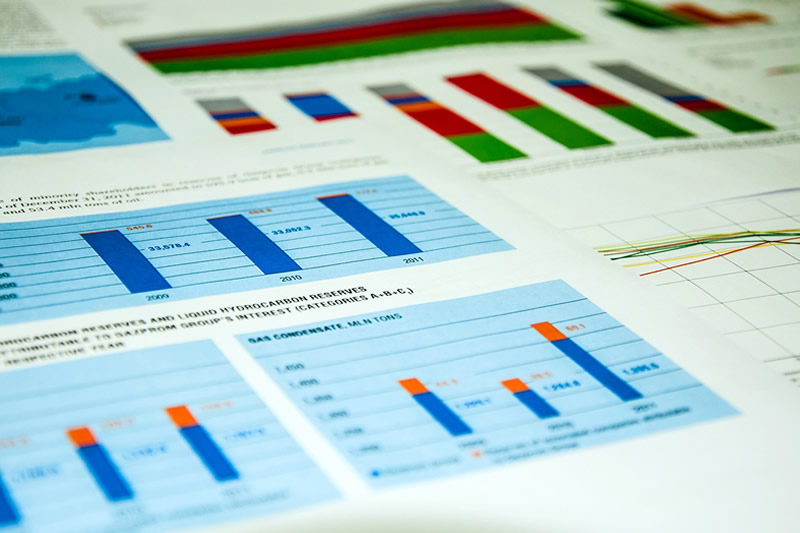Financial Report Translations